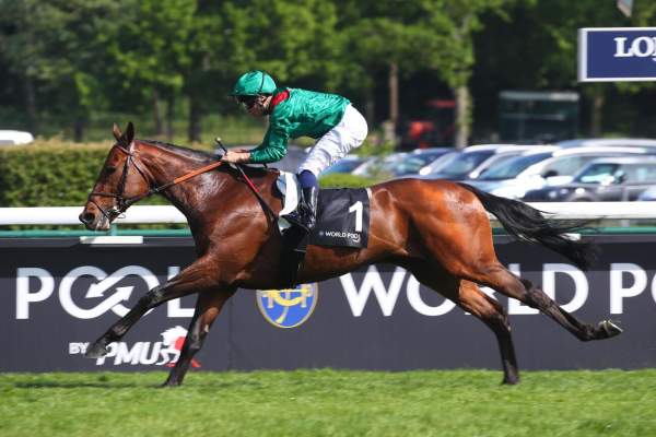 Photo de DARYZ cheval de PLAT