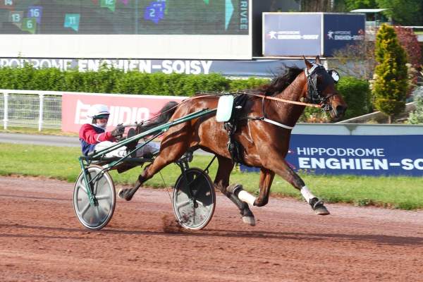 Photo de LEADER DE JOUDES cheval de TROT ATTELE