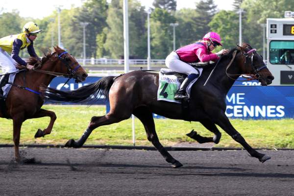Photo de KRACK CLEA cheval de TROT MONTE