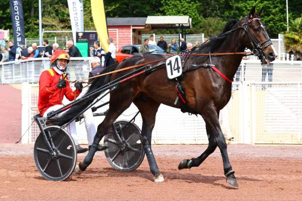 La photo de Karnac Wood Quinté+ Pmu Prix Ffb 53 (Prix Ozo) à Laval