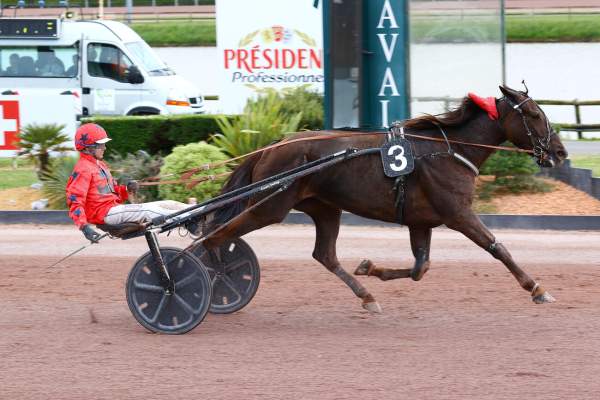 Photo de LIGNE BLANCHE cheval de TROT ATTELE