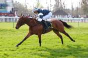 La photo de Priam Du Mesnil Hippodrome de Compiègne
