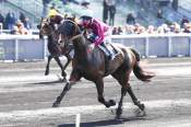 La photo de Indigo Du Poret Arrivée PMU Prix Cornelia à Vincennes