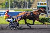 La photo de Lion Du Houlbet arrivée pmu Prix Albiero à Vincennes