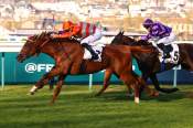 La photo de Haricot