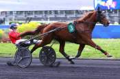 La photo de Lipa Star