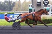 La photo de Le Magnifique arrivée pmu Prix de Wissembourg à Vincennes