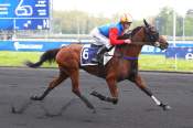 La photo de Nassandra arrivée pmu Prix Hemine (Gr.II) Etrier 3 ans Q4 à Paris-Vincennes