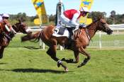 La photo de Woodlight 