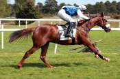 La photo de Neil Du Seuil