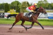 La photo de Kansas Du Hocti 
