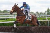 La photo de Huron Bleu 