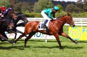 La photo de Derawar 