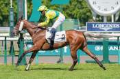 La photo de Mefie Toi arrivée pmu Prix de la Route de la Duchesse à Chantilly
