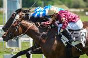 La photo de Le Matelot Arrivée Quinté+ Pmu Handicap De Bordeaux à Bordeaux-Le Bouscat
