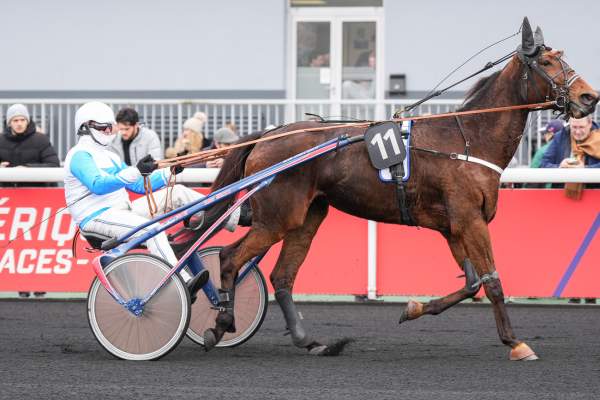 Photo de FEDE JET cheval de TROT ATTELE