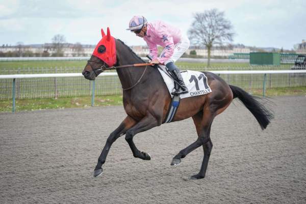Photo de REVE DU FRAISSE cheval de PLAT