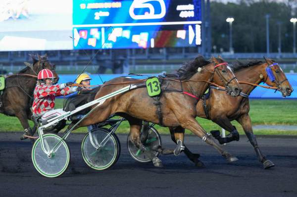 Photo de JARDIN DU ROI cheval de TROT ATTELE