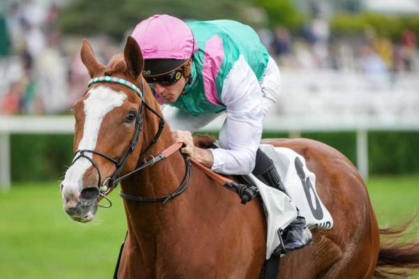 La photo de Sunly arrivée pmu Prix Allez France (Gr.III) à Saint-Cloud