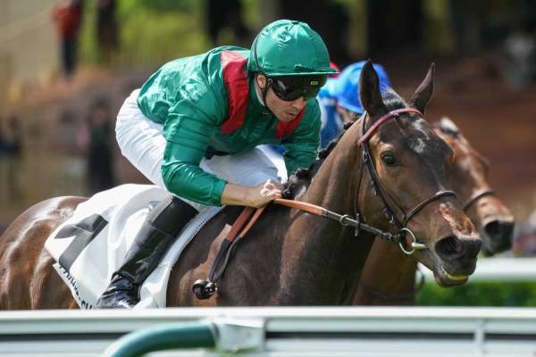 La photo de Behrayna Arrivée PMU Prix de la Seine 2026 à ParisLongchamp