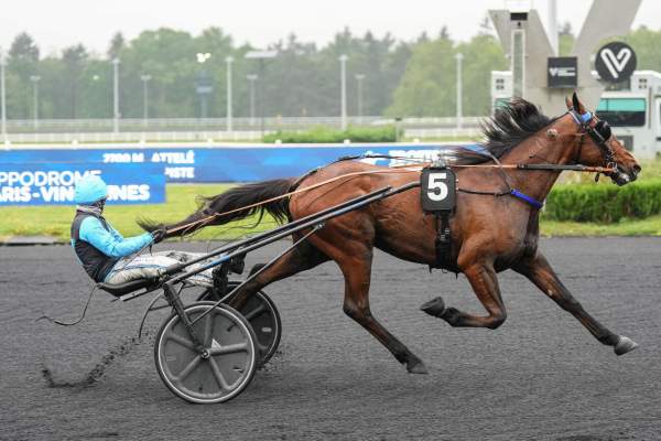 La photo de Nebraska De Ginier arrivée pmu Prix de Mamers à Paris-Vincennes