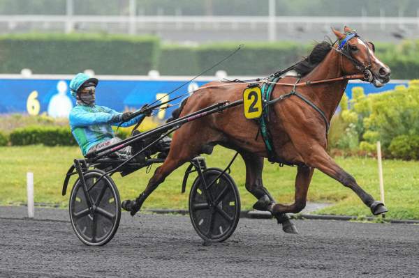Photo de MELOPE DU GOUTIER cheval de TROT ATTELE