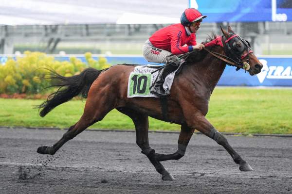 Photo de HOLD THE LINE cheval de TROT MONTE