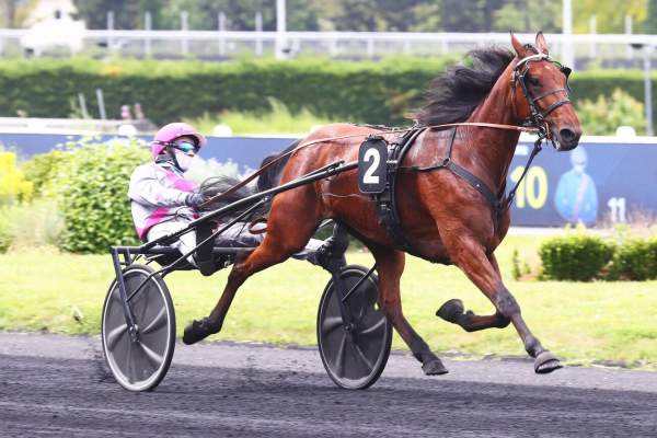Photo de MY LUCK cheval de TROT ATTELE