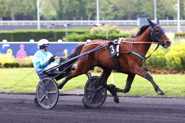Photo de NEPTUNE DE BLARY cheval de TROT ATTELE