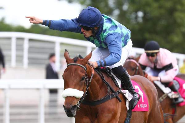 La photo de Huron Bleu Arrivée PMU Arqana Prix Aguado à Auteuil