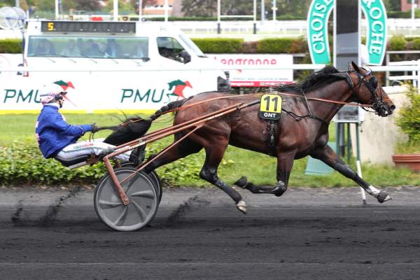 La photo de Kanto Avis arrivée Quinté+ pmu Grand National du Trot 2026 hippodrome du Croisé-Laroche
