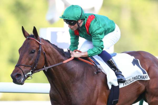 La photo de Daryz arrivée pmu Prix Aga khan IV (Gr.I) à ParisLongchamp