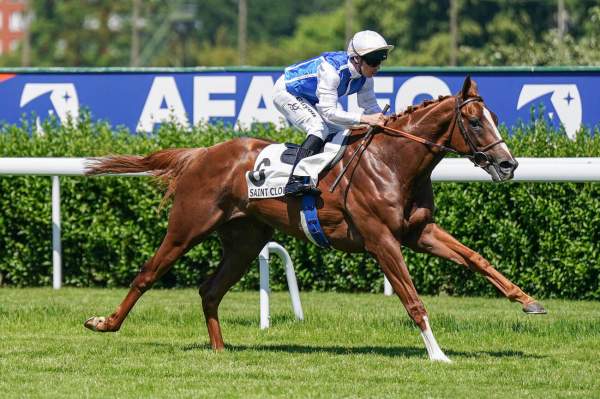 Photo de OVERNIGHT cheval de PLAT