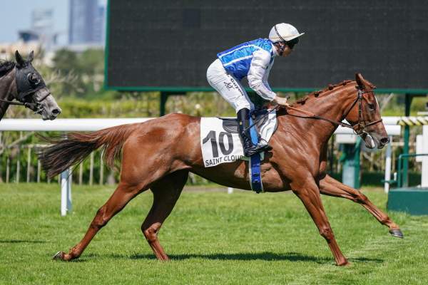 Photo de LEFTEYE cheval de PLAT