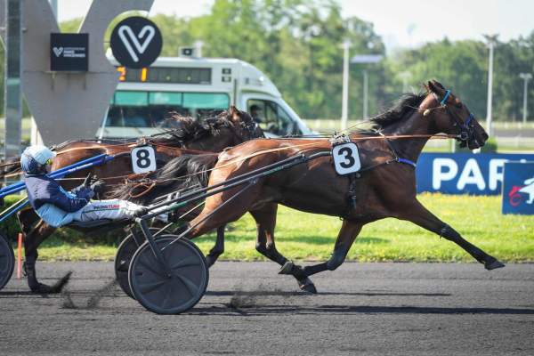 La photo de Maitika De Pebrisy arrivée pmu Prix de Budrosa à Paris-Vincennes