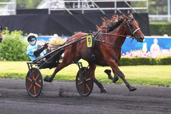 Photo de IENISSE DE BARBRAY cheval de TROT ATTELE