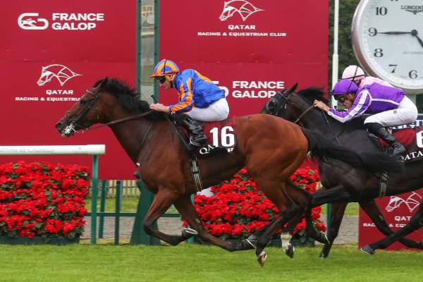 La photo de Constitution River Arrivée Quinté+ Pmu Qatar Prix Du Jockey Club 2026 à Chantilly