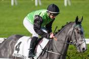 La photo de Irresitiblement