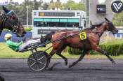 La photo de Idylle Express Arrivée Quinté+ Pmu Prix Du Rouergue à Paris-Vincennes