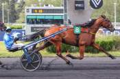 La photo de Liberte De Choisel arrivée pmu Prix Albert Demarcq (Gr.II) à Paris-Vincennes