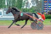 La photo de If De La Coudre