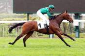 La photo de Daryzan
