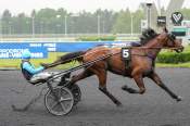 La photo de Nebraska De Ginier arrivée pmu Prix de Mamers à Paris-Vincennes