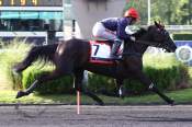 La photo de Liberte Du Goutier arrivée pmu Prix Jean Gauvreau (Gr.II) Etrier 5 ans Q2 à Paris-Vincennes
