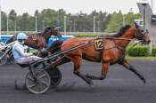 La photo de Lord Delo Arrivée Quinté+ Pmu Prix Du Perreux à Paris-Vincennes