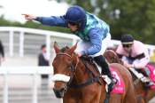 La photo de Huron Bleu Arrivée PMU Arqana Prix Aguado à Auteuil