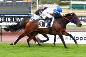 La photo de Elusive Nelson 