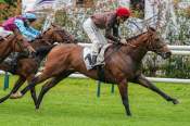 La photo de Dostoievsky arrivée pmu Prix Texanita (Gr.III) à Chantilly