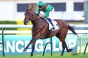 La photo de Daryz Arrivée du Prix Aga Khan IV - Prix d'Ispahan 2026 à ParisLongchamp