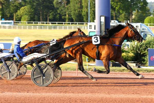 Photo de FLORIDA BI cheval de TROT ATTELE